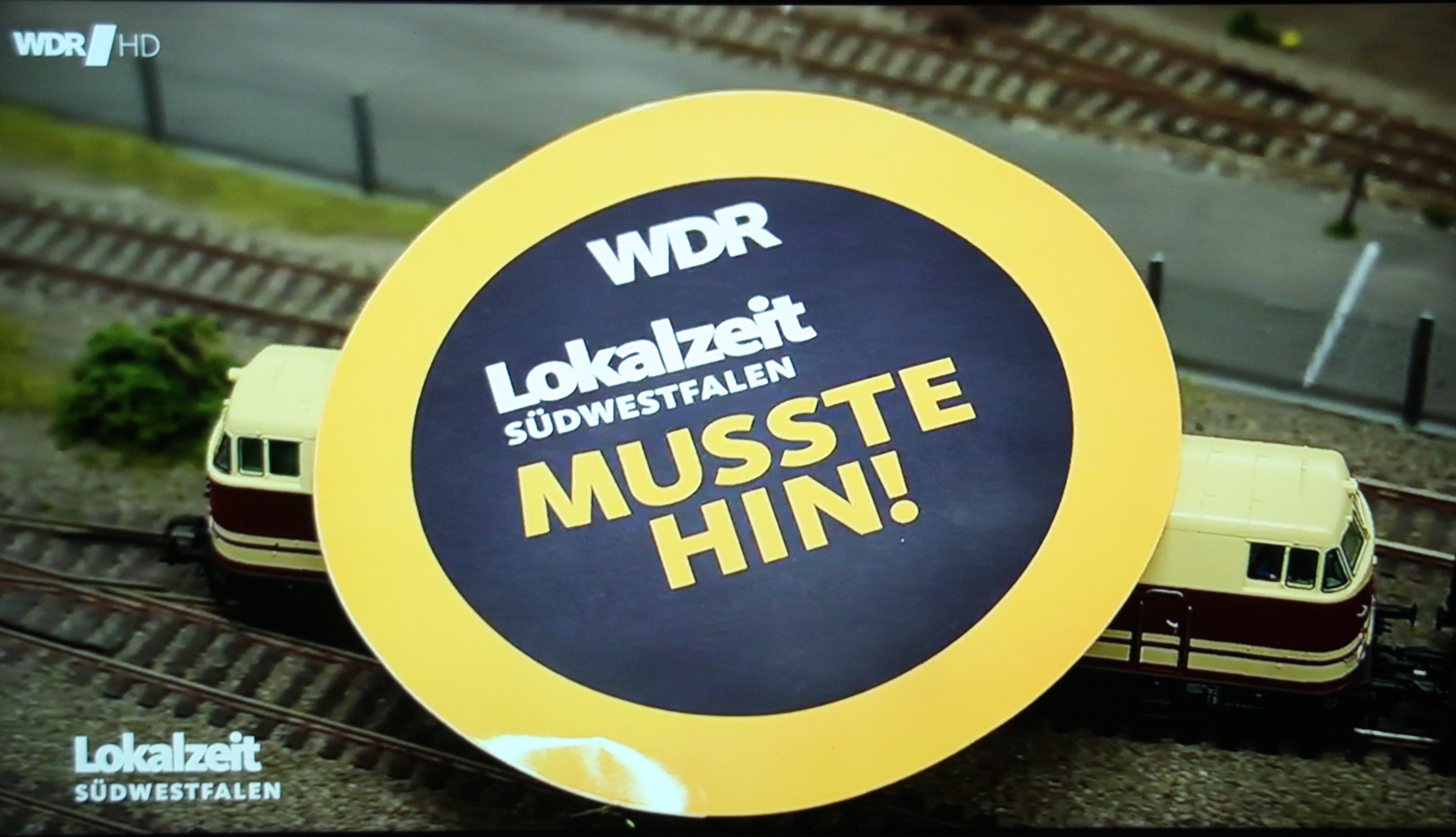 231124 010 WDR Musste hin bearbeitet